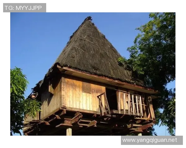 印度尼西亚与东帝汶的历史交汇与未来发展展望分析 印度尼西亚与东帝汶的历史交汇与未来发展展望分析