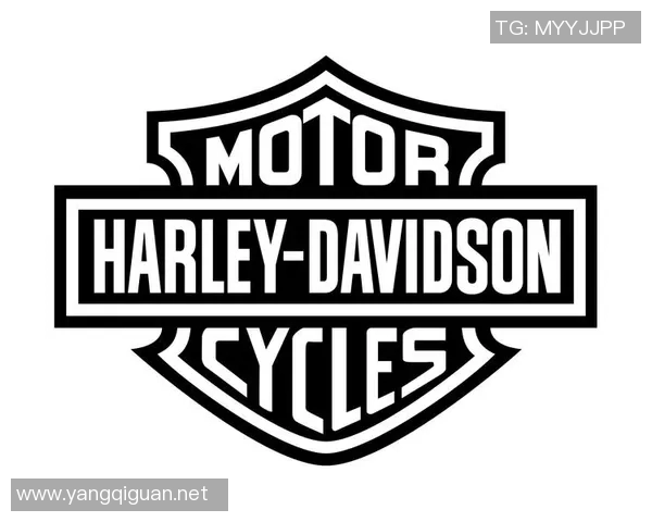 戴维森与贴吧的较量：网络文化的碰撞与思考