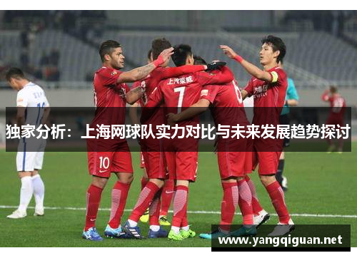 独家分析：上海网球队实力对比与未来发展趋势探讨