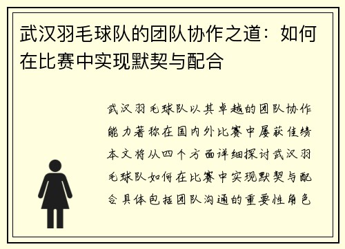 武汉羽毛球队的团队协作之道：如何在比赛中实现默契与配合